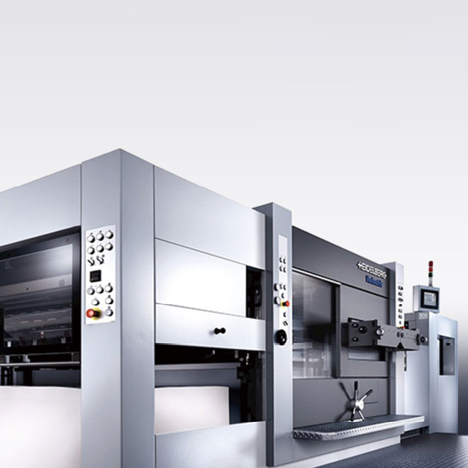 Heidelberg Varimatrix 105